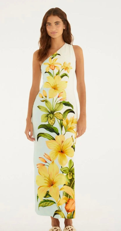 Farm/Rio Long Dress