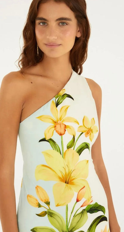 Farm/Rio Long Dress
