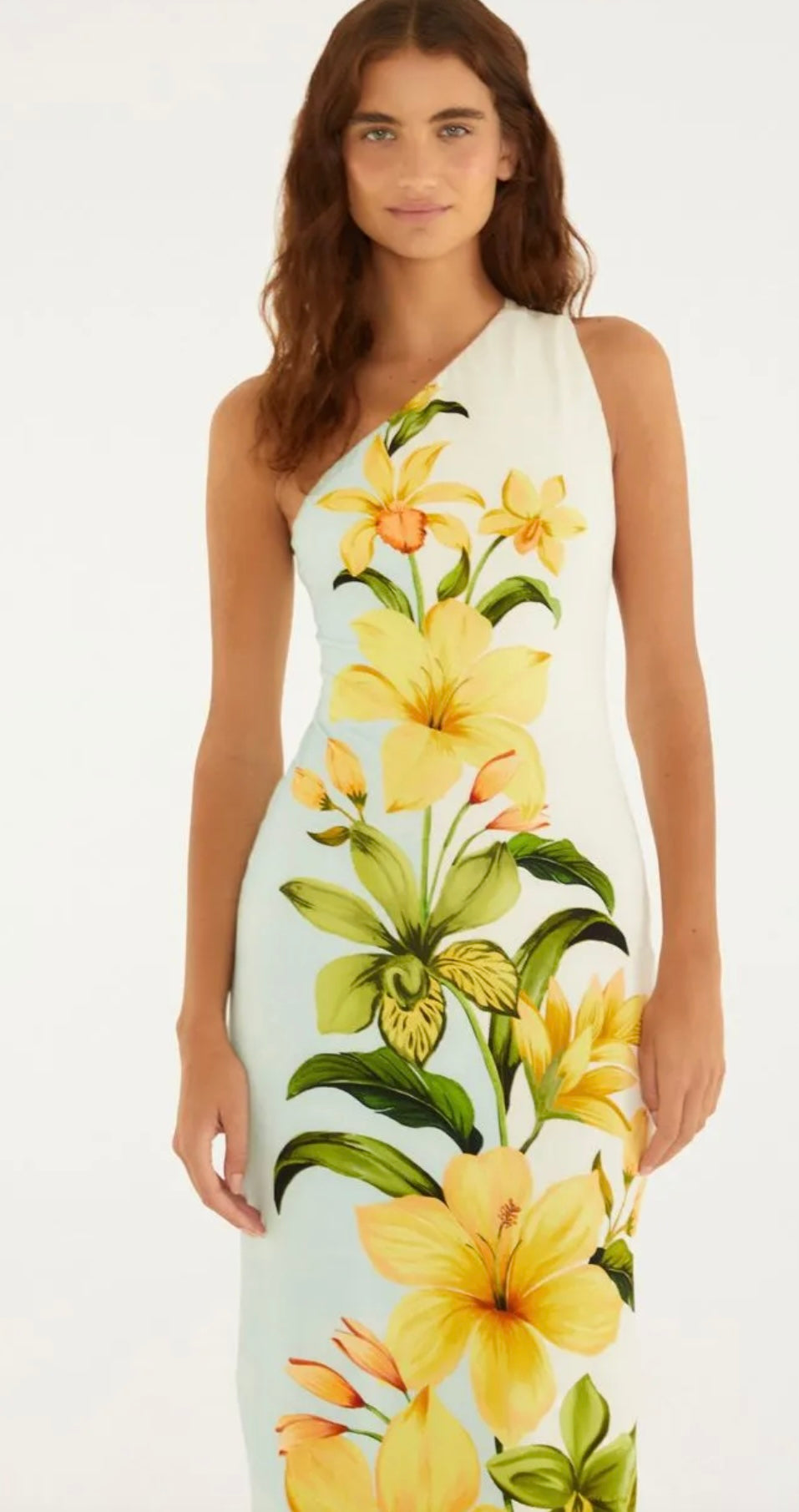 Farm/Rio Long Dress