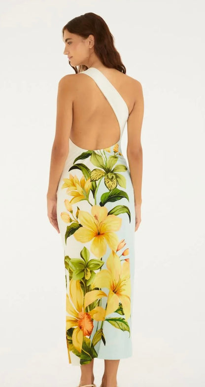 Farm/Rio Long Dress